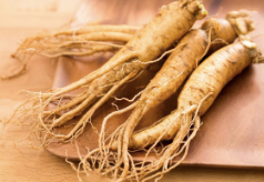 Женьшень Panax